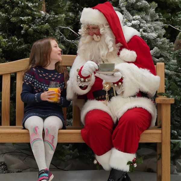 dobbies santa visit