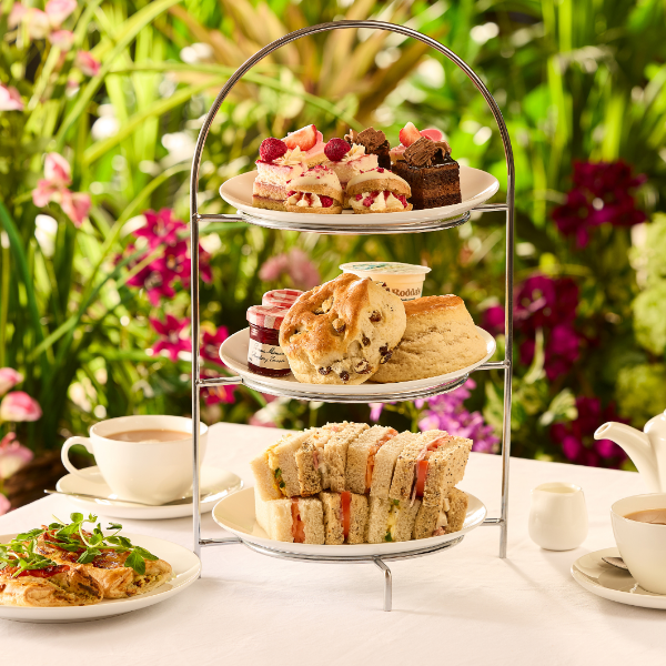 Events | Dobbies Garden Centres